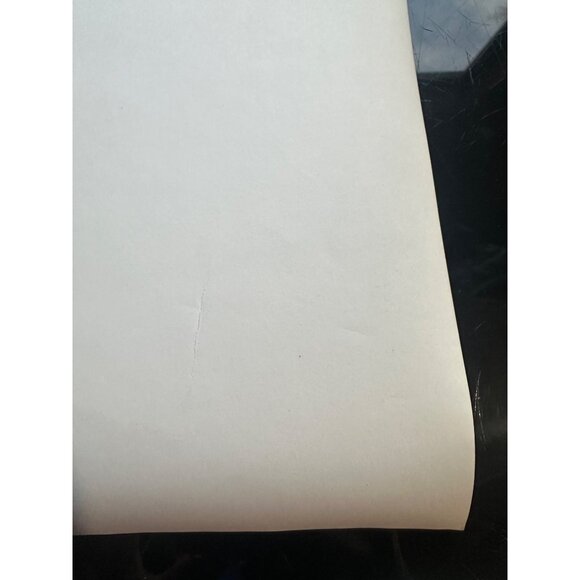 Vintage Debbie Reynolds The Second Time Around 1961 ‘Fighting Crooks’ Movie Stil - Picture 15 of 15